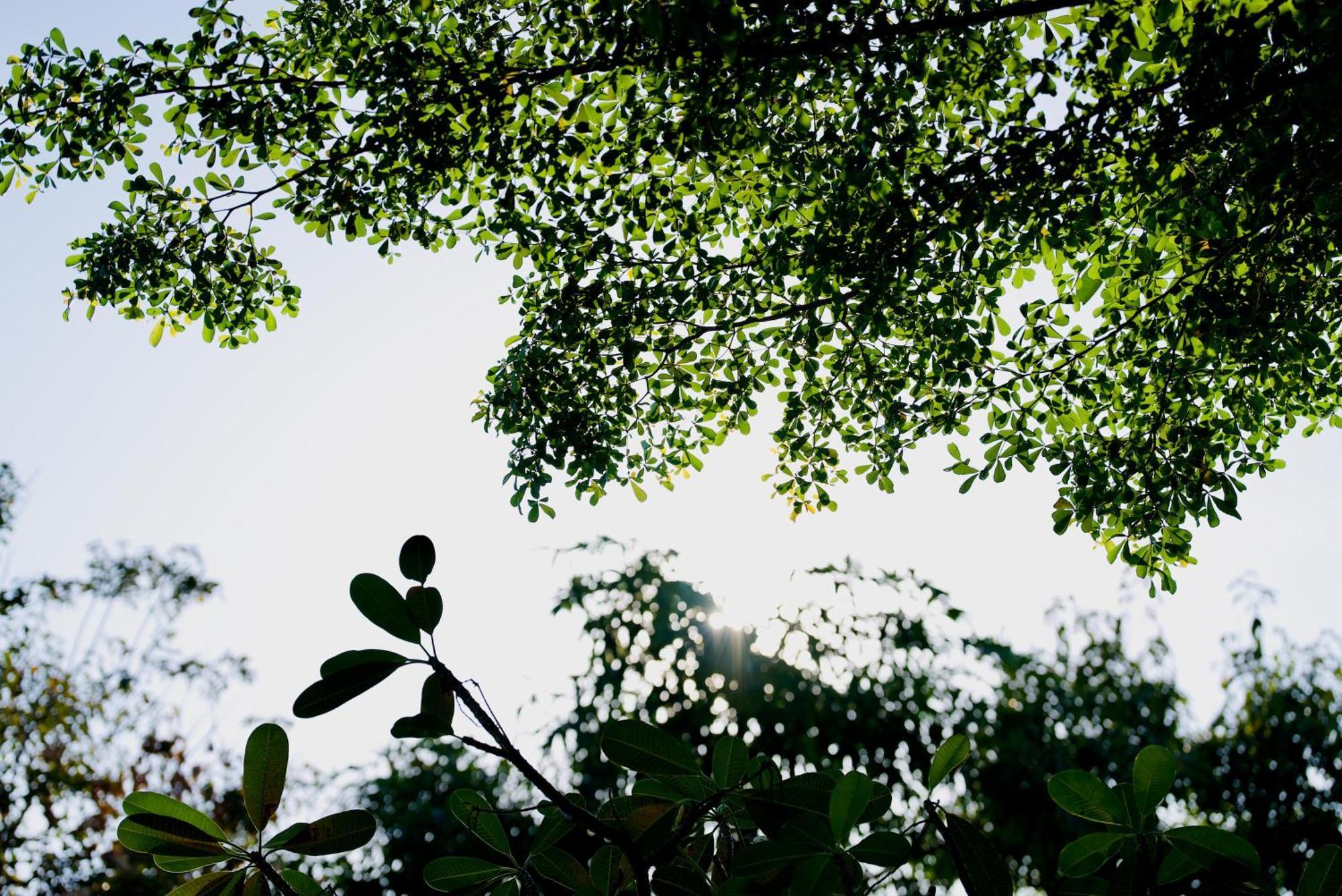 Angkor Elysium Suite Siem Reap Exterior foto